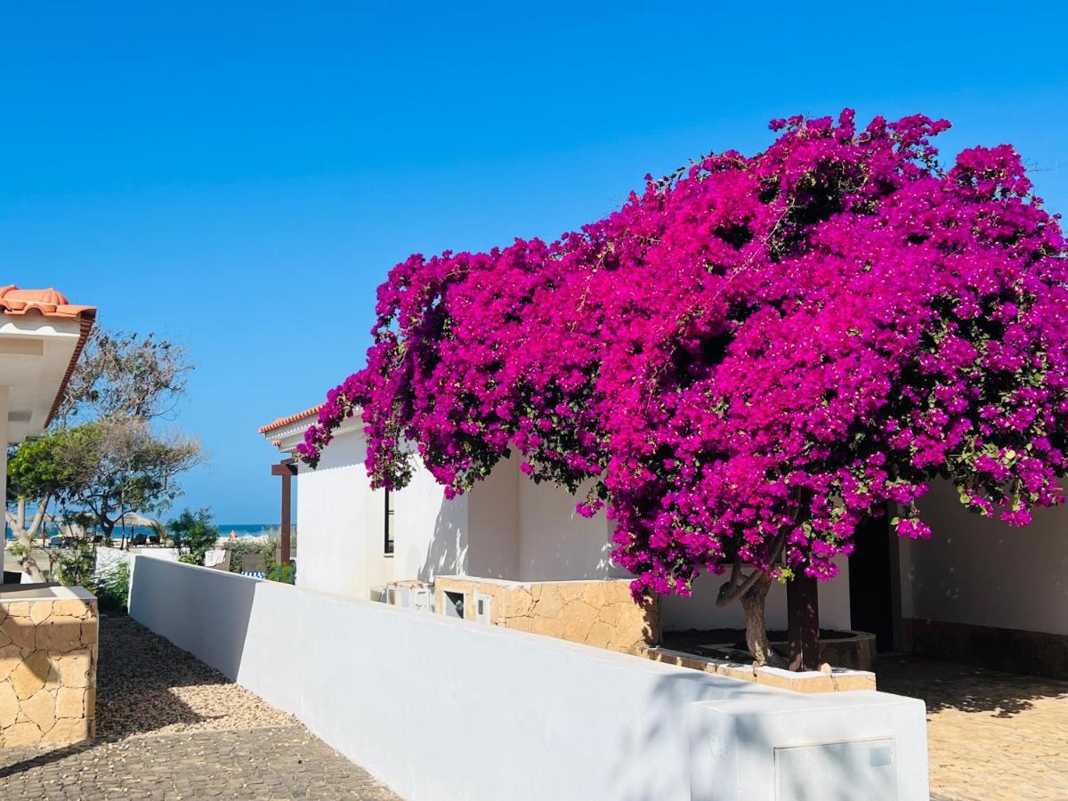 Villa With Privat Pool Near Beach Santa Maria Sal Kap Verde Εξωτερικό φωτογραφία