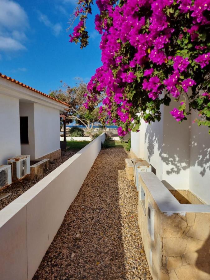 Villa With Privat Pool Near Beach Santa Maria Sal Kap Verde Εξωτερικό φωτογραφία