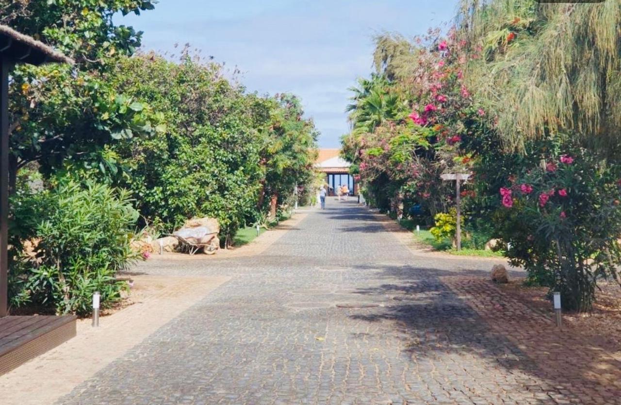 Villa With Privat Pool Near Beach Santa Maria Sal Kap Verde Εξωτερικό φωτογραφία