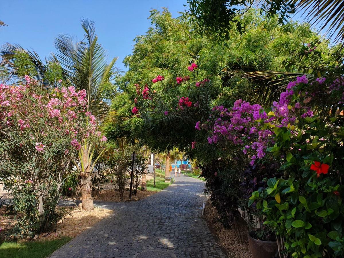 Villa With Privat Pool Near Beach Santa Maria Sal Kap Verde Εξωτερικό φωτογραφία